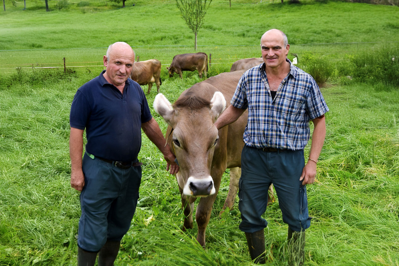 Frunz Sepp & Toni, Kägiswil
